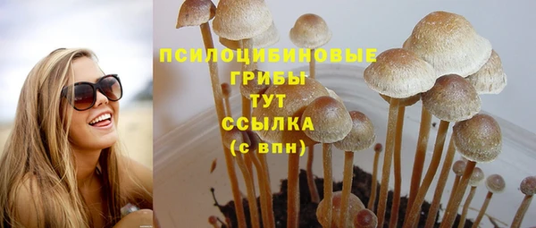 спиды Дмитров