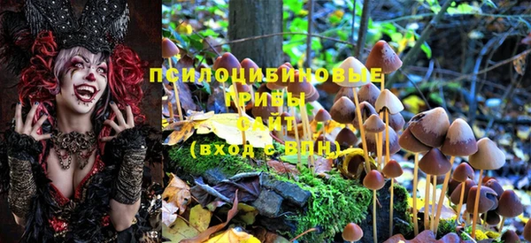спиды Дмитров